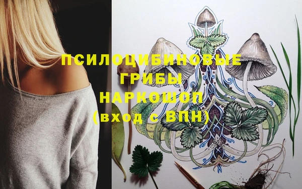 дживик Армянск