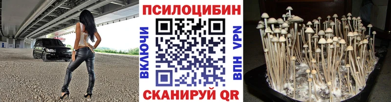 Галлюциногенные грибы GOLDEN TEACHER  Купить закладки  Спас-Деменск 